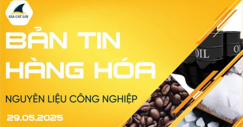 Bản Tin Nhóm Nguyên Liệu Công Nghiệp Ngày 29/05/2025