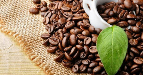 Giá Cà Phê Ngày 29/5/2025: Đồng Loạt Giảm Mạnh – Robusta Thủng 4.600 USD, Arabica Tiếp Cận Ngưỡng Hỗ Trợ Quan Trọng