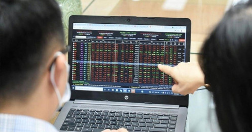 Tìm vàng trong tro tàn: Bí quyết nhận diện cổ phiếu bị thị trường "bỏ quên"