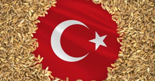 Thổ Nhĩ Kỳ dự báo sản lượng ngũ cốc sẽ giảm