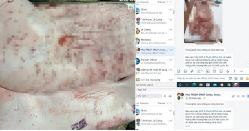 Sóc Trăng lập đoàn kiểm tra các điểm chăn nuôi, gồm C.P Việt Nam sau tố cáo trên Facebook