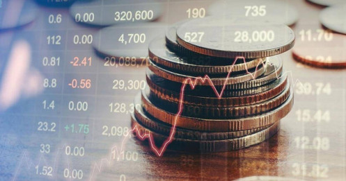 “Cá bơi ngược dòng”: HPG, DBC, QTP lộ diện tâm điểm bắt đáy