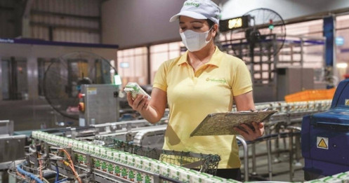 Sữa gánh gồng đường cho QNS