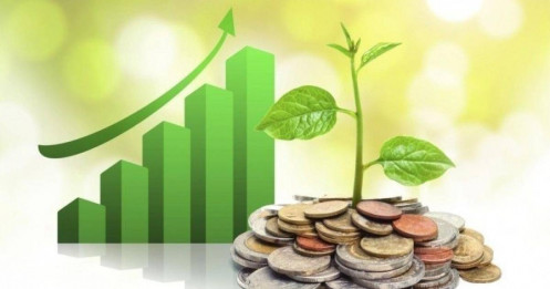 Lịch chốt quyền cổ tức 2/6-6/6: Cổ tức tiền mặt cao nhất 20%, một công ty chứng khoán chốt trả cổ tức 43% bằng cổ phiếu