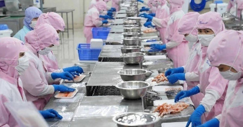 Gần 50 doanh nghiệp Việt Nam sắp sang Mỹ tìm mua nguyên liệu