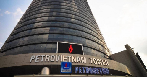 Hiểu biết cơ bản về “bán lẻ PET”