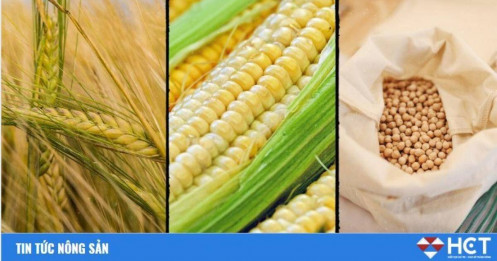 Cập nhật thị trường nông sản CBOT - ngày 2/6/2025