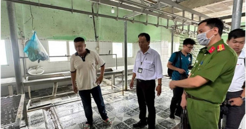 Vụ C.P. Việt Nam bị “tố” bán thịt heo bệnh: Hé lộ sự thật tại cơ sở giết mổ ở Hậu Giang