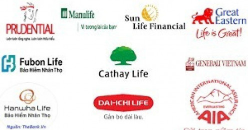 Cuộc đổ bộ của bảo hiểm: Prudential và các đại gia chi hàng nghìn tỷ gom cổ phiếu
