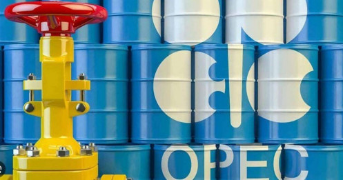 OPEC+ tăng sản lượng từ tháng 7: Dầu đậu tương chịu áp lực kép