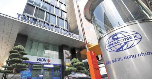 Vinaconex: Sáng cửa dự án, tối màu bức tranh lợi nhuận?