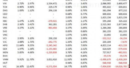 VIC và VHM có thể bị bán mạnh trong đợt cơ cấu tháng 6
