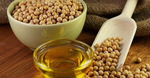 Báo cáo ép dầu và nghiền ngũ cốc tháng gần nhất: Tín hiệu áp lực giảm giá ngắn hạn đối với đậu tương và ngô