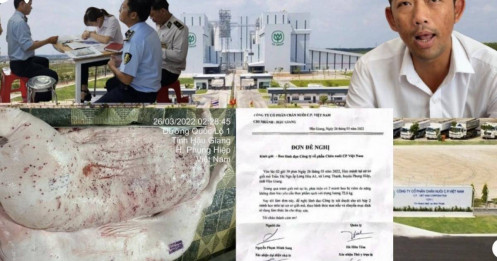 Vụ tố cáo C.P. Việt Nam: Lợn bệnh vào lò mổ bằng cách nào?