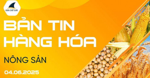 Bản Tin Nhóm Nông Sản Ngày 04/06/2025