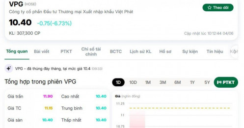 Cổ phiếu VPG liên tục giảm sàn sau khi Chủ tịch bị khởi tố