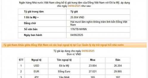 NHNN lần đầu tiên tăng tỷ giá trung tâm lên trên 25.000 đồng