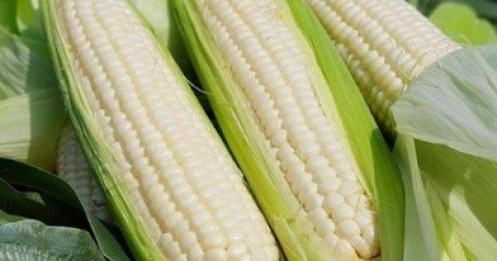 Ngô – Khi thị trường chiết khấu đủ sâu, nhà đầu tư cần bắt đầu chú ý