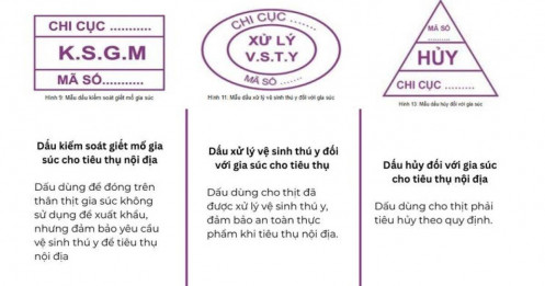 Vụ C.P. bị tố bán heo bệnh: Truy tìm cán bộ thú y đóng dấu kiểm dịch hình chữ nhật