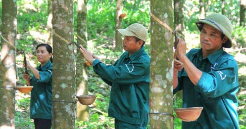 DRI tăng tốc niêm yết HoSE – Vừa thoát bóng công ty mẹ, vừa đặt mục tiêu lợi nhuận kỷ lục 2025!