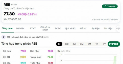 Cổ phiếu REE bất ngờ tăng kịch trần sau một thông tin quan trọng, vốn hóa lập kỷ lục