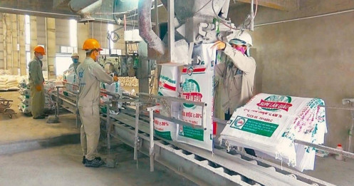 DGC: Liệu có đáng để "đặt cược" vào dài hạn?