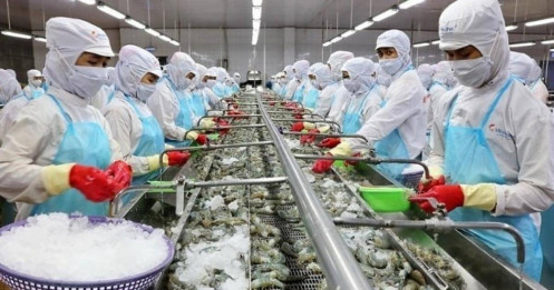 Tham vọng nghìn tỷ của “Vua tôm” Minh Phú