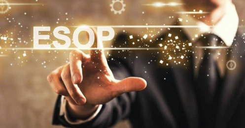 ESOP: "Đòn bẩy" cổ phiếu hay áp lực tài chính?