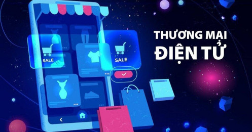 Từ bức tranh Thương mại điện tử đến bức tranh kinh tế Việt Nam