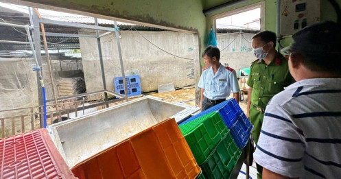 Chủ tịch Hậu Giang chỉ đạo 'nóng' sau vụ C.P bị tố bán heo bệnh