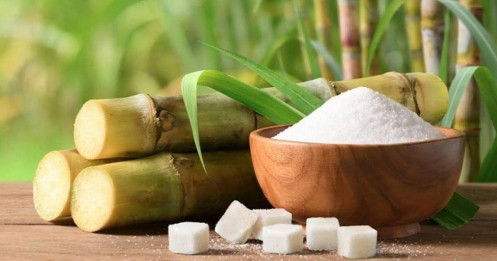 Giá bán giảm, ngành mía đường “bớt ngọt”