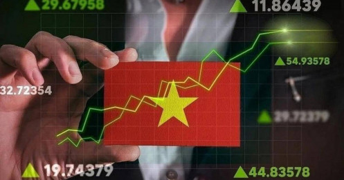 Khi "cá mập" ngoại đặt cược vào chứng khoán Việt