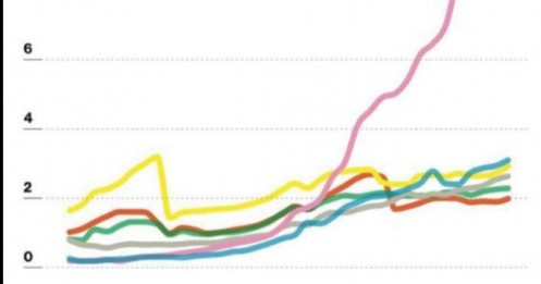Nhóm penny trở thành tâm điểm