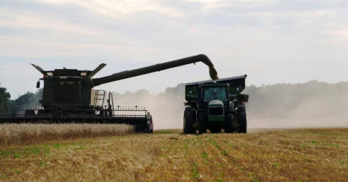 Quỹ đầu tư tăng mạnh vị thế "short" trên ngũ cốc và đậu tương – Lượng bán khống đạt đỉnh 9 tháng