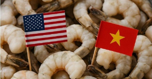 VASEP lên tiếng trước tin Mỹ áp thuế sơ bộ cao bất thường với tôm Việt Nam