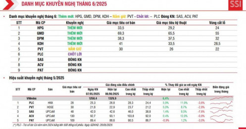 Tháng 6 nhiều biến số, SSI khuyến nghị phòng thủ danh mục, NĐT có nghe không?