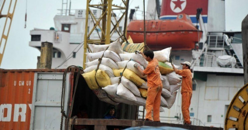 Giá gạo Việt Nam giảm gần 19%