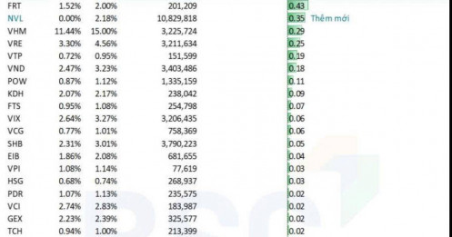 NVL bất ngờ lọt rổ FTSE Vietnam Index
