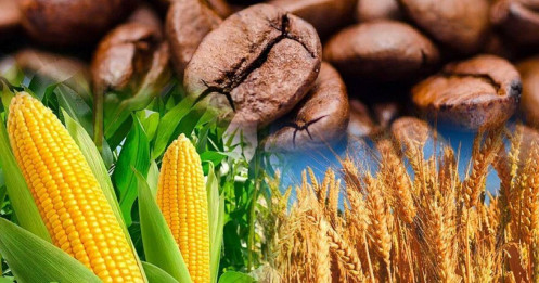 Cập nhật tuần qua (2-6/6): Hàng hóa toàn cầu tăng tốc trở lại!
