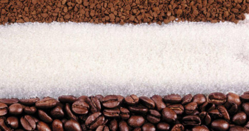 Cacao và đường bước vào mùa vụ 2025/26 với những dấu hiệu trái ngược