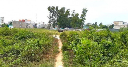 "Cò đất" giăng bẫy: Hàng trăm cư dân khốn đốn vì "dự án ma"