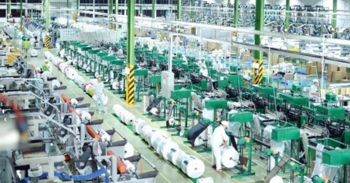 "Bắt sóng" cổ phiếu nhựa: Tiềm năng sinh lời bền vững, cổ tức cao hơn lãi suất