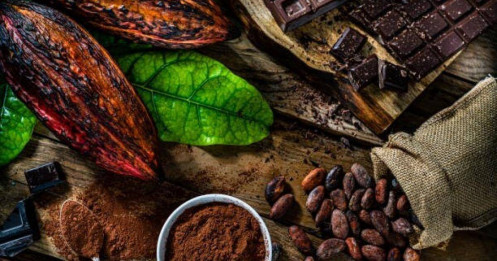 Cà Phê Robusta Rớt Thảm – Nhưng Đây Có Thể Là Cú Pullback Đẹp Nhất 2025!