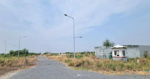 Đồng Nai dự kiến đấu giá 37 khu đất trị giá 21.000 tỷ đồng trong năm 2025