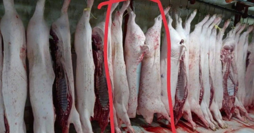 Bê bối thịt C.P.: Người tiêu dùng thay đổi, thị trường phản ứng