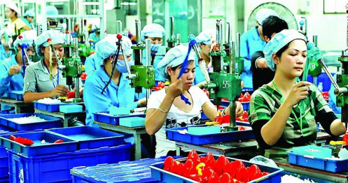 Kinh tế Việt Nam thể hiện sức bền trong “cơn bão thuế quan”