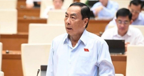 Đại biểu Quốc hội lo khu thương mại tự do 'nơi đông đúc, chỗ lại trống trơn'