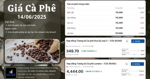 Giá cà phê phục hồi nhẹ: Tín hiệu kỹ thuật hay sự khởi đầu của chu kỳ mới?