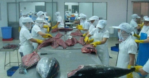 Xuất khẩu thủy sản vào kỳ “thử lửa” mới