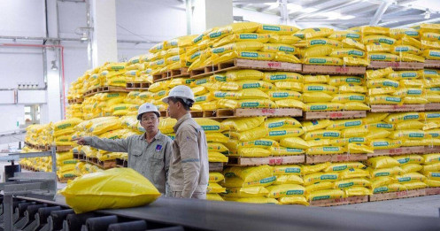DPM - Cơ hội tốt để mua